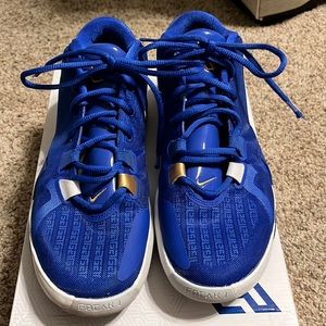 Zoom Freak 1 basketball shoes